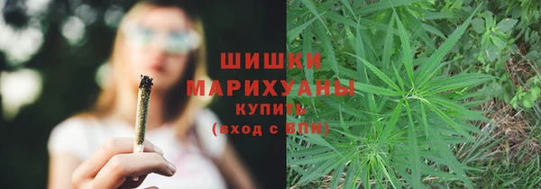 винт Ладушкин