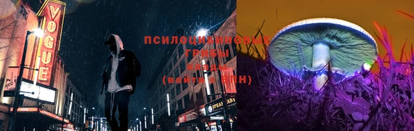 винт Ладушкин