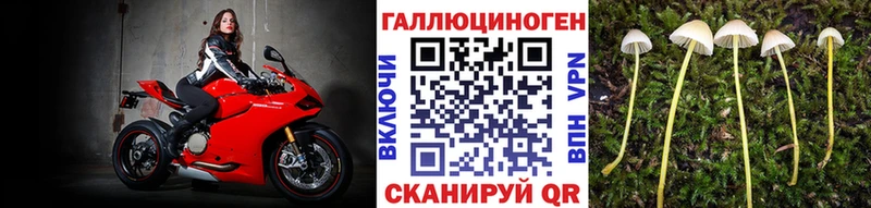 купить закладку  Кировград  Галлюциногенные грибы GOLDEN TEACHER 